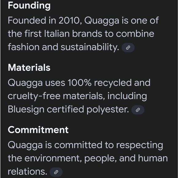 Quagga Jumbo Pom Beanie Sustainable Green Label - Picture 7 of 7